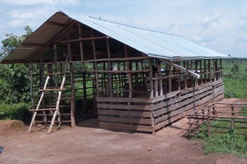 Community Health Worker Cooperative: Animal Husbandry Project