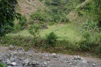 Women's Honey Farming in Douyac