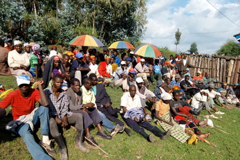 Piggery Farming in Gambiriro and Murambi Villages