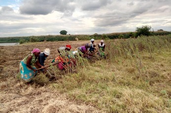 Tidzaonanji Women Cooperative