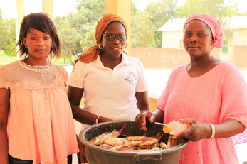 Establishment of a Mini Fish Farm