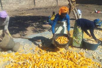 Women's Community Garden