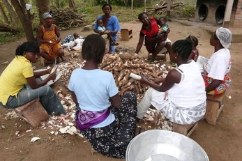 Smart Cassava Processing Factories